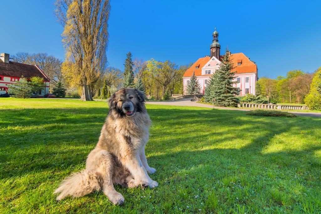 Boutique Palac Warmatowice Sienkiewiczowskie レグニツァ エクステリア 写真
